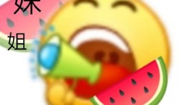 西城区吃瓜,吃瓜群众的美食盛宴