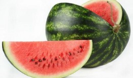 解渴吃瓜段子,笑谈人生百态