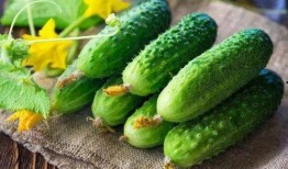 生瓜花可以吃,天然美味，营养丰富的健康食材