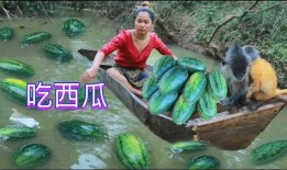 红河吃瓜视频,揭秘当地特色美食与风土人情