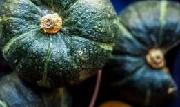 吃瓜轨道,带你走进娱乐圈的幕后风云