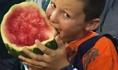 午夜男孩吃瓜,午夜男孩的瓜田奇遇记