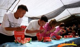 吃瓜群众氛围,揭秘网络时代的全民吃瓜狂欢