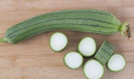 夏天吃瓜季节丝瓜,清凉解暑的绿色美食之旅