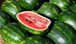 瓜仔菜怎么吃,探索家常美味新境界