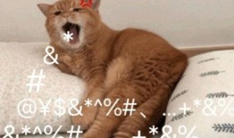 吃瓜搞怪沙雕头像,搞笑头像大集合！