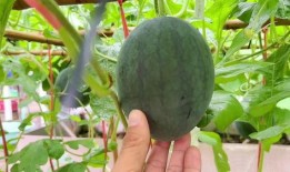 离吃瓜又近了,精彩事件即将揭晓