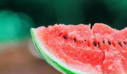 扎西德勒吃瓜,揭秘网红美食背后的故事