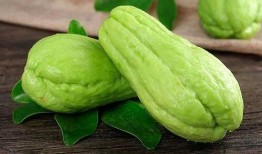 青田系列吃瓜,揭秘系列吃瓜背后的故事