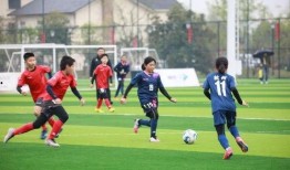 吃瓜冠军图,图解网络红人的崛起之路