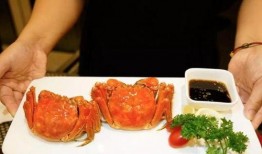 忘川宾馆吃瓜,揭秘神秘食客的瓜田奇遇