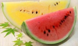 带你吃高级瓜,带你领略高级瓜的非凡魅力