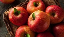 苹果和麻瓜可以吃吗英语,Can Apples and Muggles Consume the Same Foods?