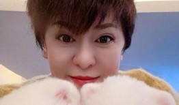 吃瓜婷哥,揭秘娱乐圈幕后故事