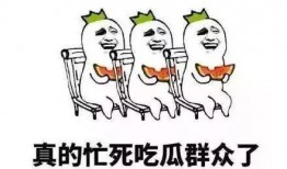 吃瓜群众的论述,揭秘吃瓜群众眼中的娱乐圈风云