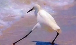 人生如戏吃瓜,揭秘戏里戏外的人生百态