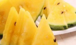 吃西瓜好还是吃籽瓜好,营养与口感的双重较量