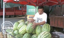 吃瓜啥价,揭秘“吃瓜”背后的价格之谜