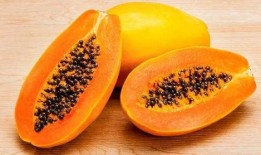 吃什瓜下火,吃什瓜下火，清凉一夏