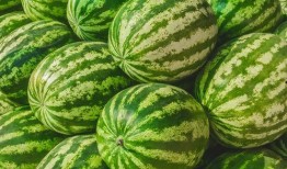 大北北吃瓜铺,揭秘娱乐圈幕后故事，带你领略明星真实生活