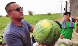 李沧吃瓜,揭秘娱乐圈背后的那些事儿