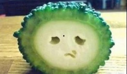 吃什瓜下火,吃什瓜下火，清凉一夏