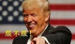 吃瓜的疯子,网络红人的崛起与争议