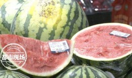 吃瓜啥价,揭秘“吃瓜”背后的价格之谜