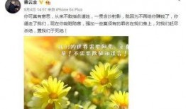 朝阳吃瓜群众提成,揭秘娱乐圈幕后风云