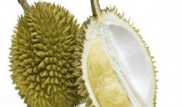 痛经可以吃蜜瓜吗,天然甜润的温暖呵护