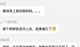 吃瓜离职图文,揭秘职场“瓜田”背后的离职真相