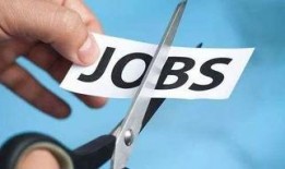 吃瓜离职图文,揭秘职场“瓜田”背后的离职真相