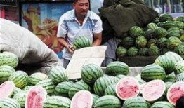 大北头吃瓜视频,揭秘娱乐圈幕后故事