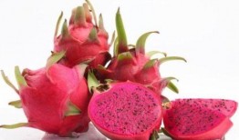 月子期吃火龙果和哈密瓜,月子期间火龙果与哈密瓜的营养搭配与食用建议