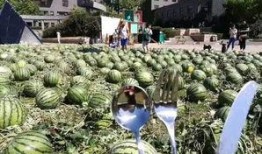 吃瓜校园,吃瓜群众眼中的校园风云录