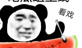 民政局吃瓜666,揭秘背后真相与网络热议