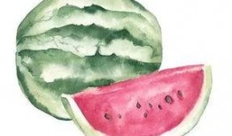 吃瓜手术刀,揭秘网络舆论的力量与影响