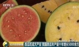 吃瓜世界全集,揭秘娱乐圈背后的真相与秘密