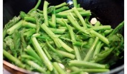 瓜叉苗怎么吃,探索美味食用新方式