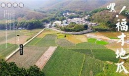 网红吃瓜营地,揭秘娱乐圈幕后风云