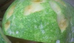 膨大瓜可以吃吗,安全食用与营养价值的探索