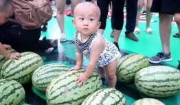 吃瓜大济宁,揭秘这座城市的美食与趣闻