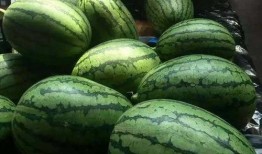 18线吃瓜,吃瓜群众的日常