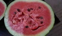 红河吃瓜视频,揭秘当地特色美食与风土人情