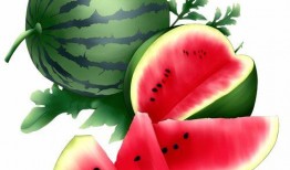 阿瓜很甜吃,探寻甜蜜背后的故事与奥秘