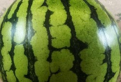 吃瓜动作表演图片