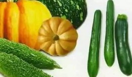 左越越的吃瓜,揭秘娱乐圈幕后故事