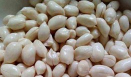 吃瓜吃花生米图片,跟随镜头探寻吃瓜吃花生的独特魅力