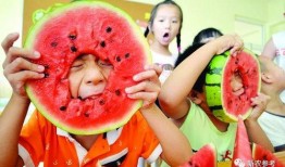 陆导吃瓜,揭秘娱乐圈幕后故事