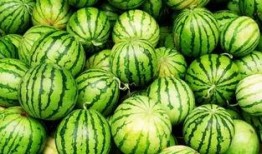 吃西瓜算吃瓜吗,揭秘“吃瓜”背后的文化内涵